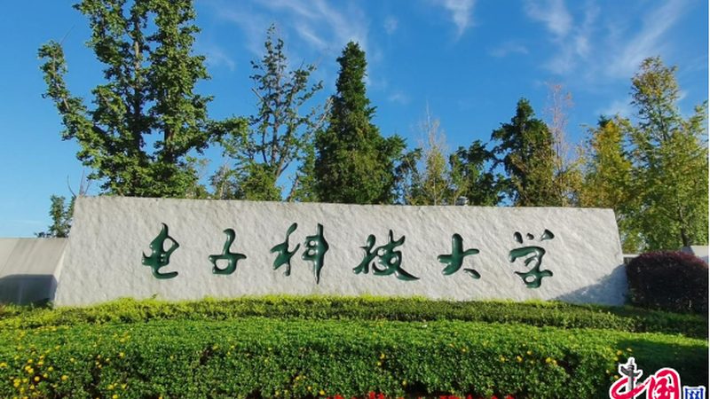 连接器绝缘材质：揭秘其种类与性能